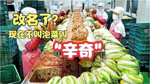 雨軒齋清真食品 堅(jiān)守“辛奇”品質(zhì)，踐行HACCP最高衛(wèi)生標(biāo)準(zhǔn)